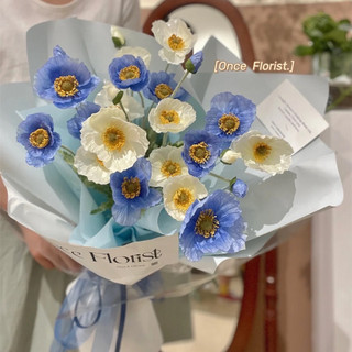 Hoa Lụa Để Bàn 🌺 Hoa Anh Túc Giả