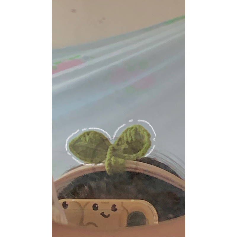 Mầm lá bằng len dùng để làm bookmark, trang trí