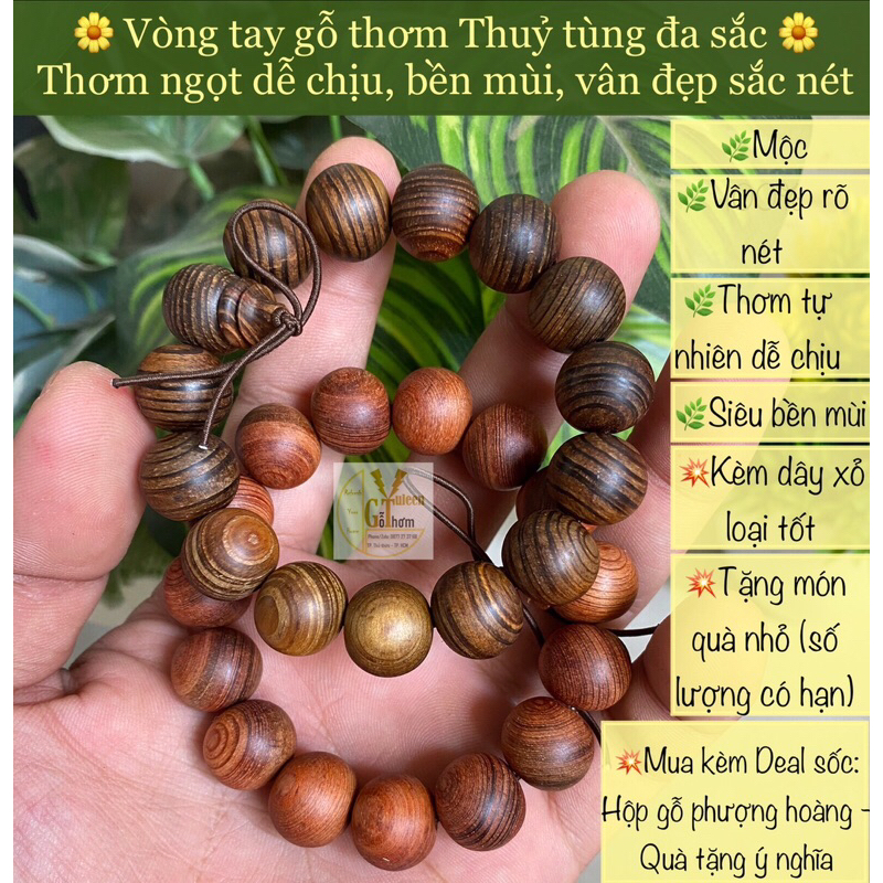 Vòng phong thủy gỗ thủy tùng xanh, thủy tùng đa sắc cực bền mùi, vòng tay đẹp, vân đẹp, độc đáo, cá tính. Gỗ thơm Yuleen
