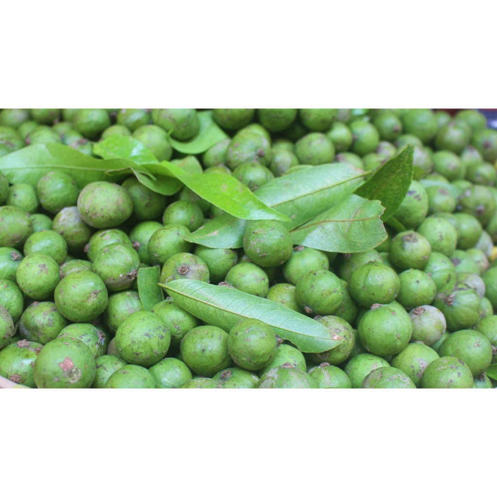 SẤU TƯƠI ĐẦU MÙA HÀ NỘI 1KG