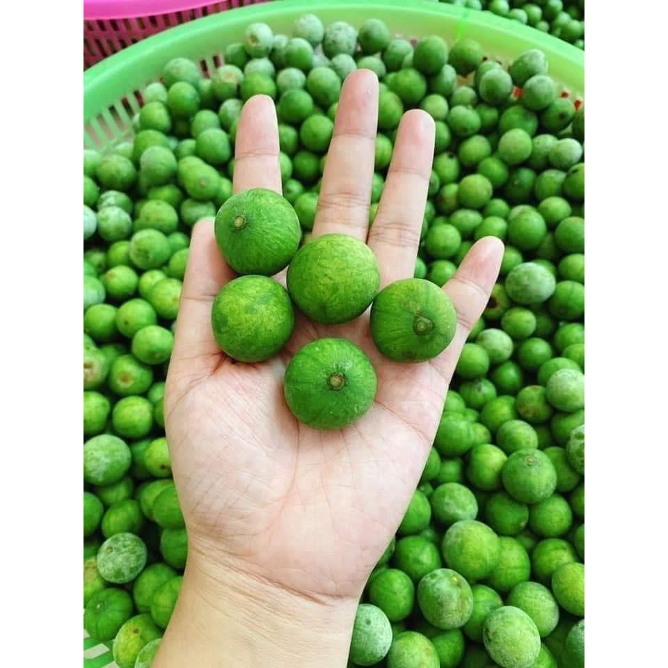 SẤU TƯƠI ĐẦU MÙA HÀ NỘI 1KG