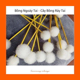 Bông Ngoáy Tai - cây bông ráy tai- bông ngoáy tai