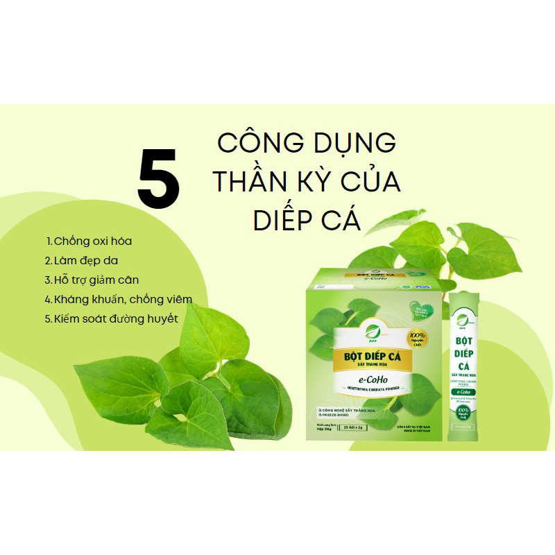 BỘT DIẾP CÁ NGUYÊN CHẤT Sấy thăng hoa EHERBAL