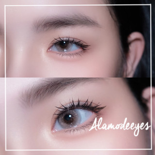 Lens xám cát nâu (có cận)
