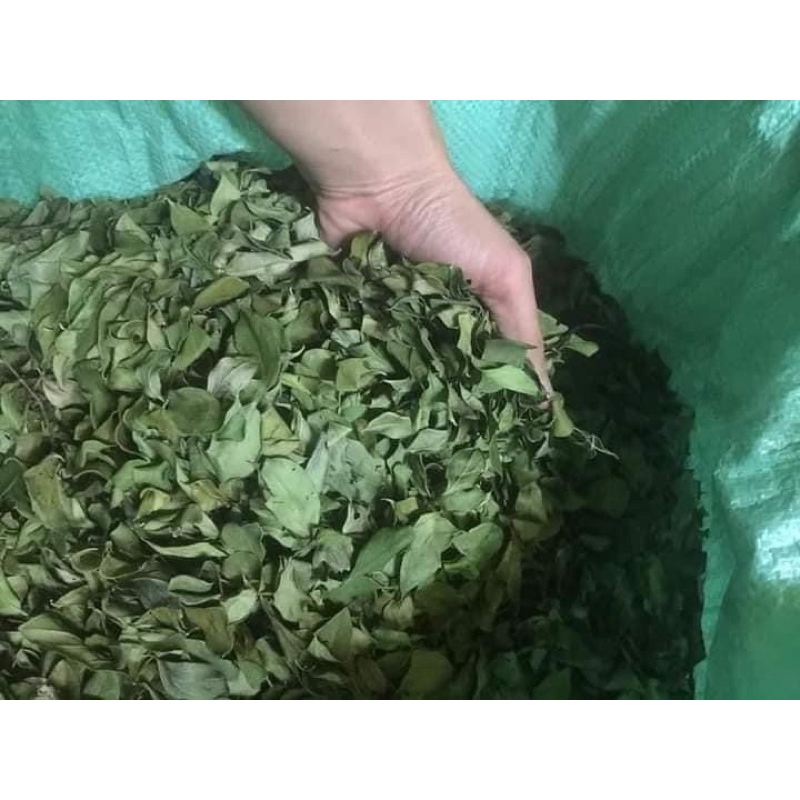 1kg lá găng nguyên chất loại 1 phơi khô gửi kèm công thức làm