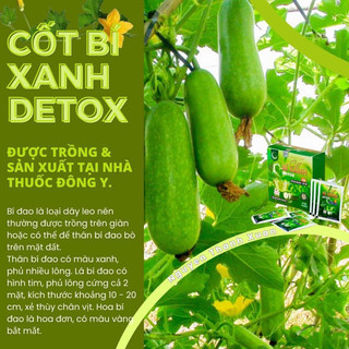 (Chính Hãng) COMBO 2 HỘP CỐT BÍ XANH DETOX