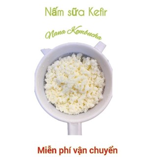 Nấm Sữa Kefir,Nấm Làm Sữa Chua < Cam Kết Làm Thành Công , Bảo Hành 1 Đổi 1, Có Cẩm Nang Công Thức Nuôi)