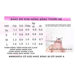 Nailbox thiết kế