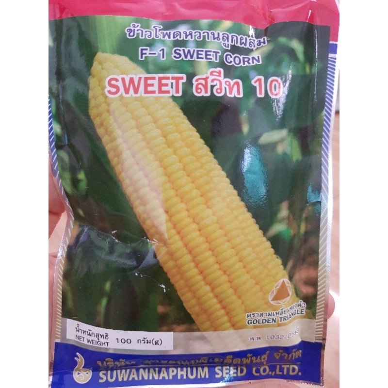 [500gram] Hạt giống bắp (ngô) ngọt lai F1 Honey 10 Mùa Bội Thu Thái Lan (chịu nhiệt &gt;35 độ)