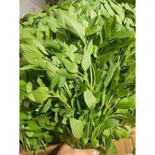 Muối Lá É Ớt Hiểm- Hủ 500gr