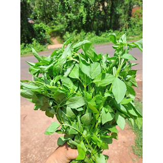 Muối Lá É Ớt Hiểm- Hủ 500gr