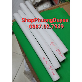 Cây mút bó hoa ngắn