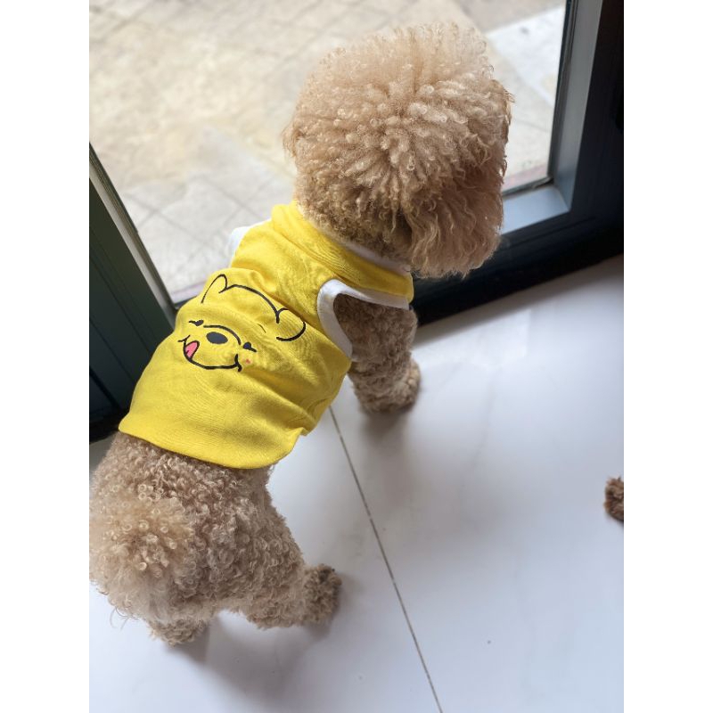 Áo gấu pool cho chó mèo, áo ba lỗ, áo cotton cho thú cưng