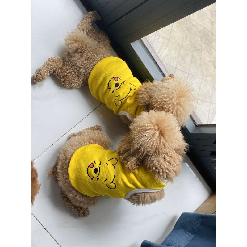 Áo gấu pool cho chó mèo, áo ba lỗ, áo cotton cho thú cưng
