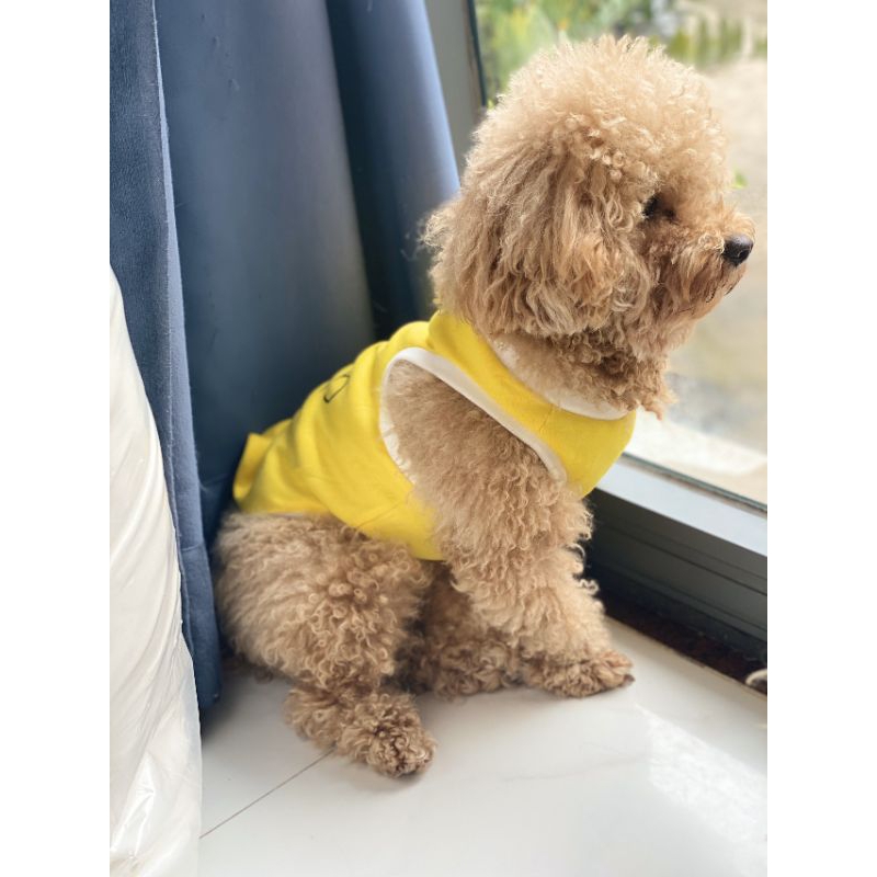 Áo gấu pool cho chó mèo, áo ba lỗ, áo cotton cho thú cưng