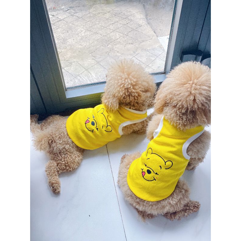 Áo gấu pool cho chó mèo, áo ba lỗ, áo cotton cho thú cưng