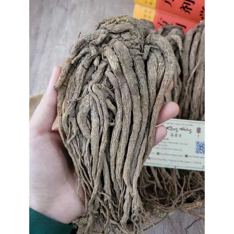 Đương quy Cam Túc nguyên củ size 16 - 18 củ/kg