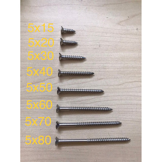Vít vặn gỗ đầu bằng bake - Vít tắc kê inox 201