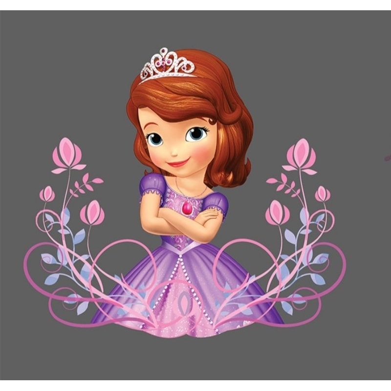 Hình ủi nhiệt, in áo. Hình công chúa Sophia-1 in áo trẻ em