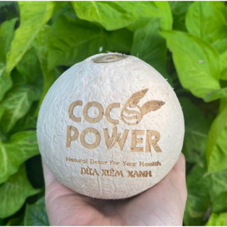 Dừa Xiêm Coco Power gọt trọc sạch, an toàn - Ngọt, mát. Sỉ liên hệ