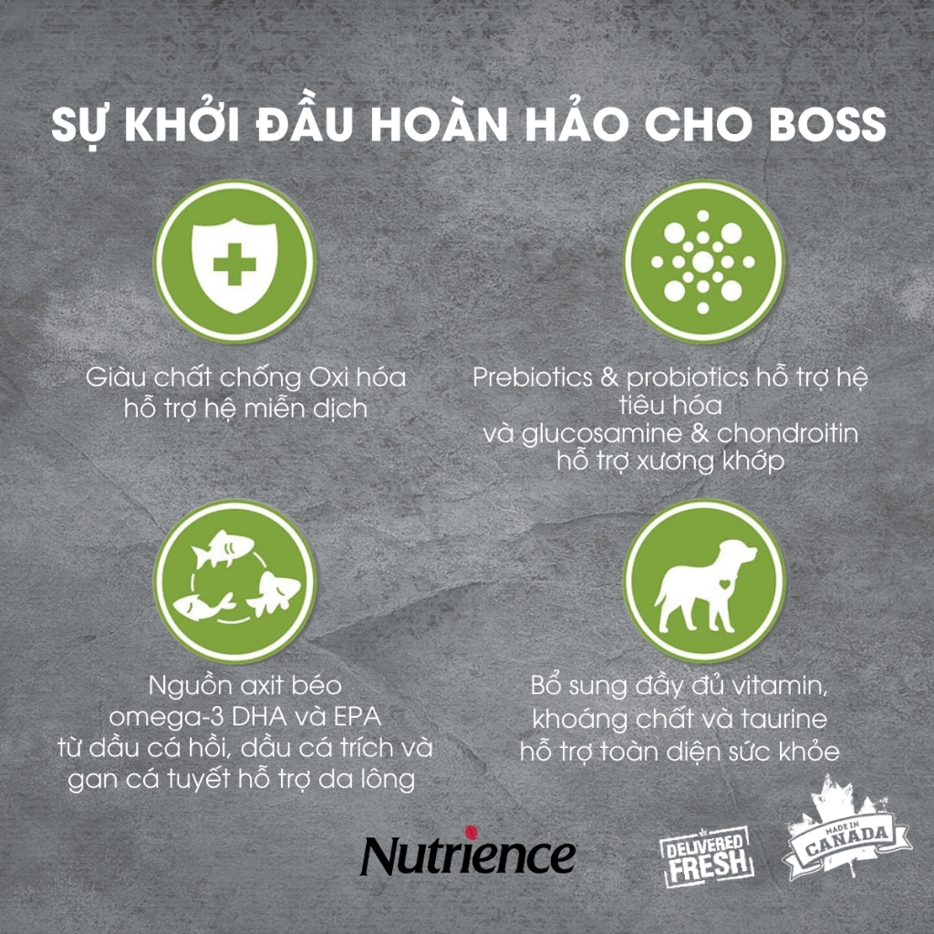 Thức Ăn Cho Chó Con Nutrience Infusion Healthy Puppy - thịt gà và rau củ trái cây tự nhiên 2.27kg