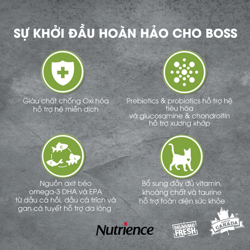 Thức Ăn Cho Mèo Con Nutrience Infusion Healthy Kitten - thịt gà và rau củ trái cây tự nhiên 500g