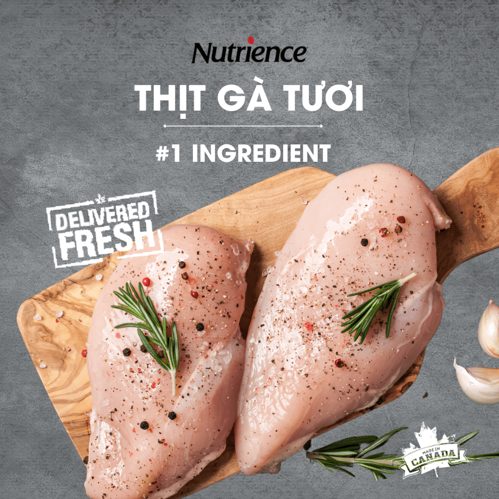 Thức Ăn Cho Mèo Con Nutrience Infusion Healthy Kitten - thịt gà và rau củ trái cây tự nhiên 500g