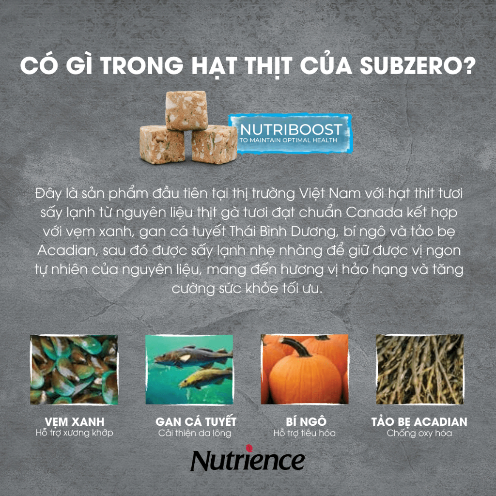 Hạt Cho Chó Nutrience Subzero Grain-free - gà tây, cá hồi, cá trích, cá tuyết và rau củ trái cây tự nhiên 500g