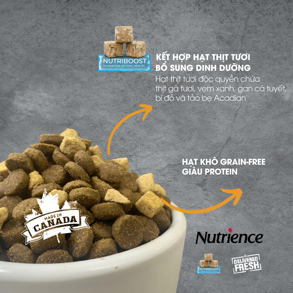 Hạt Cho Chó Nutrience Subzero Grain-free - gà tây, cá hồi, cá trích, cá tuyết và rau củ trái cây tự nhiên 500g