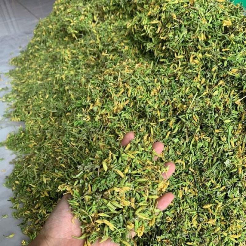 HOA ĐU ĐÙ ĐỰC TƯƠI NGÂM MẬT ONG RỪNG hũ 500g lọ thuỷ tinh
