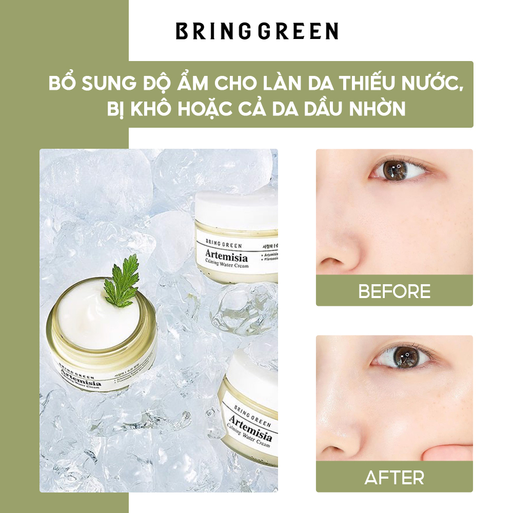 Kem Dưỡng Làm Dịu Da Chiết Xuất Ngải Cứu BRING GREEN ARTEMISIA CALMING WATER CREAM 75ml