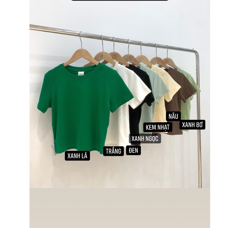 AT Áo Thun Nữ Áo Thun Form crop trơn Chất Cotton Thoáng Mát Freesize XONXEN SHOP HUẾ Mã  822
