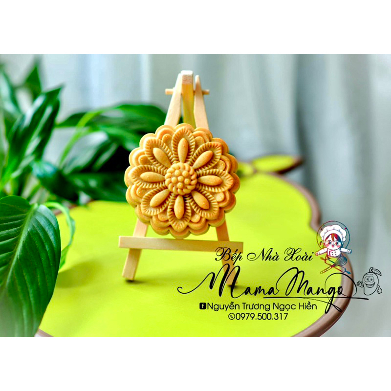 Khuôn lò xo xanh mẫu 2023 đường kính 8cm