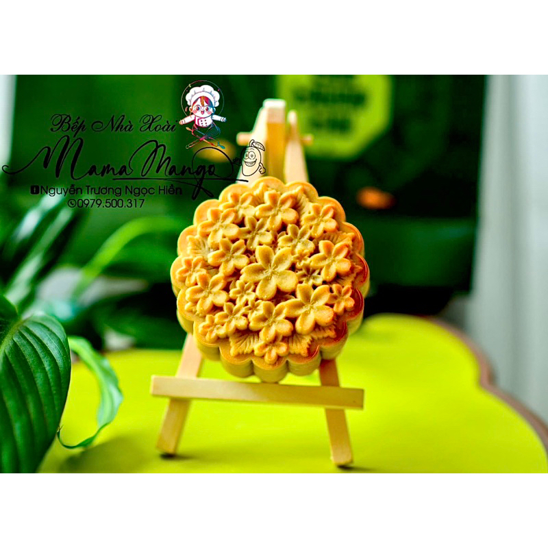 Khuôn lò xo xanh mẫu 2023 đường kính 8cm