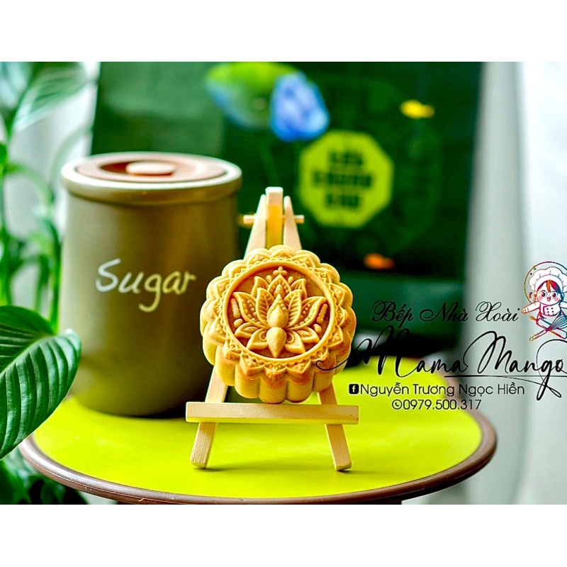 Khuôn lò xo xanh mẫu 2023 đường kính 8cm