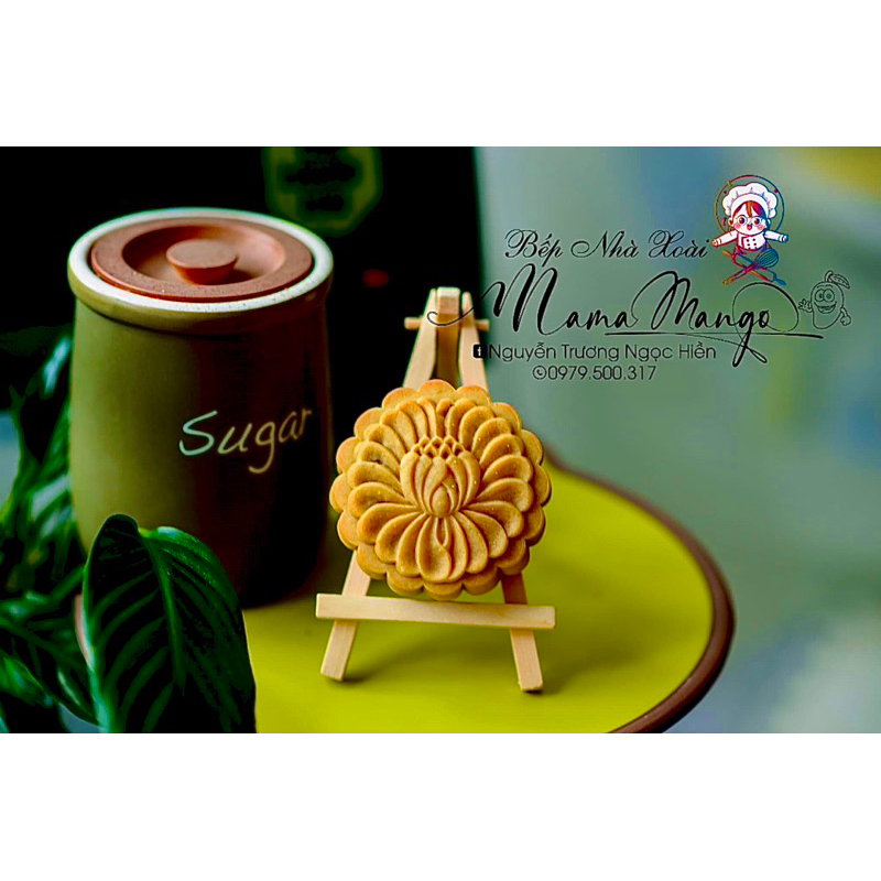 Khuôn lò xo xanh mẫu 2023 đường kính 8cm