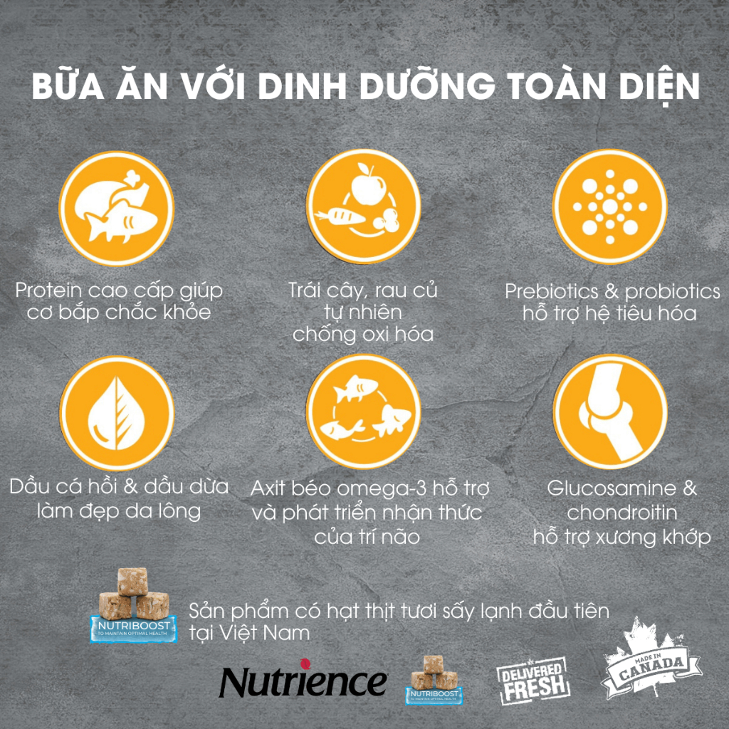 Thức Ăn Hạt Cho Chó Nutrience Subzero Grain-free - gà tây, cá hồi, cá trích, cá tuyết và rau củ trái cây tự nhiên 5kg