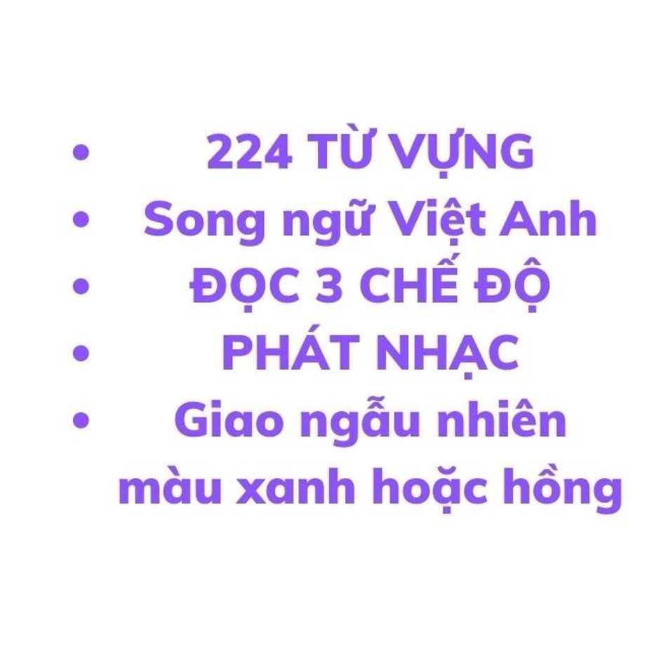 Máy đọc thẻ song ngữ Anh Việt 224 từ vựng 112 thẻ đọc flashcard