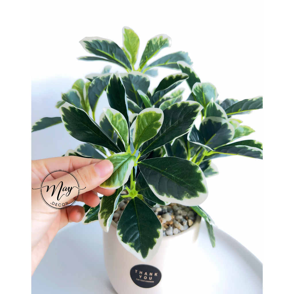 Cây giả, Chậu cây Cẩm Thạch để bàn trang trí