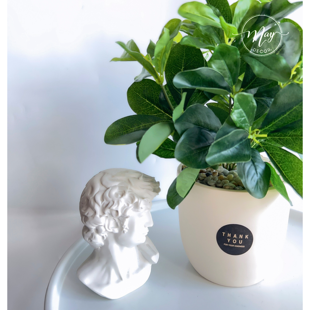 Cây giả, Chậu cây Cẩm Thạch để bàn trang trí