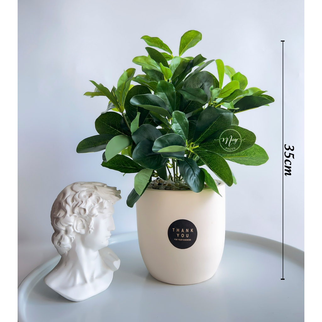 Cây giả, Chậu cây Cẩm Thạch để bàn trang trí