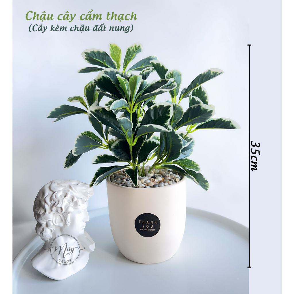 Cây giả, Chậu cây Cẩm Thạch để bàn trang trí