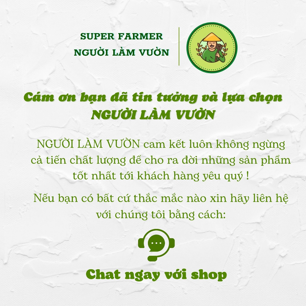 100 Túi 12x16cm Túi Bọc Trái Cây Ổi, Xoài, Na, Dưa... Có Dây Buộc - Người Làm Vườn