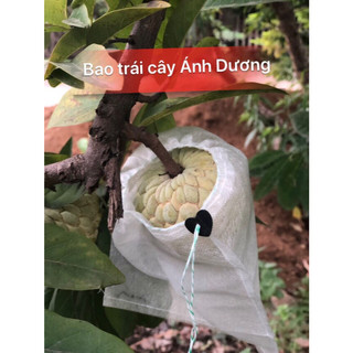 Van xả bình Binh xịt Dudaco 4, 6, 8 lít