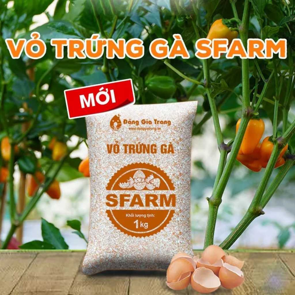 CH - Vỏ trứng gà đã qua xử lý Sfarm, bao 1kg, giúp cây khoẻ, chống côn trùng, sâu bọ