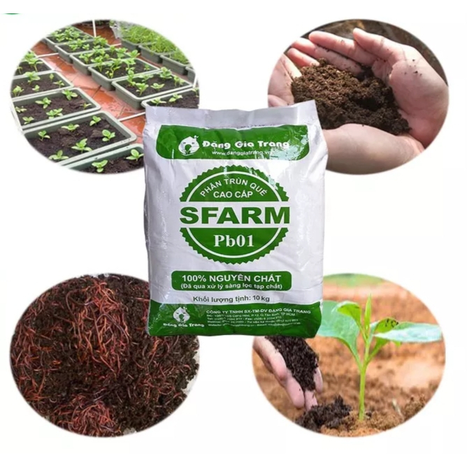 CH - Phân Trùn Quế Cao Cấp Sfarm  -