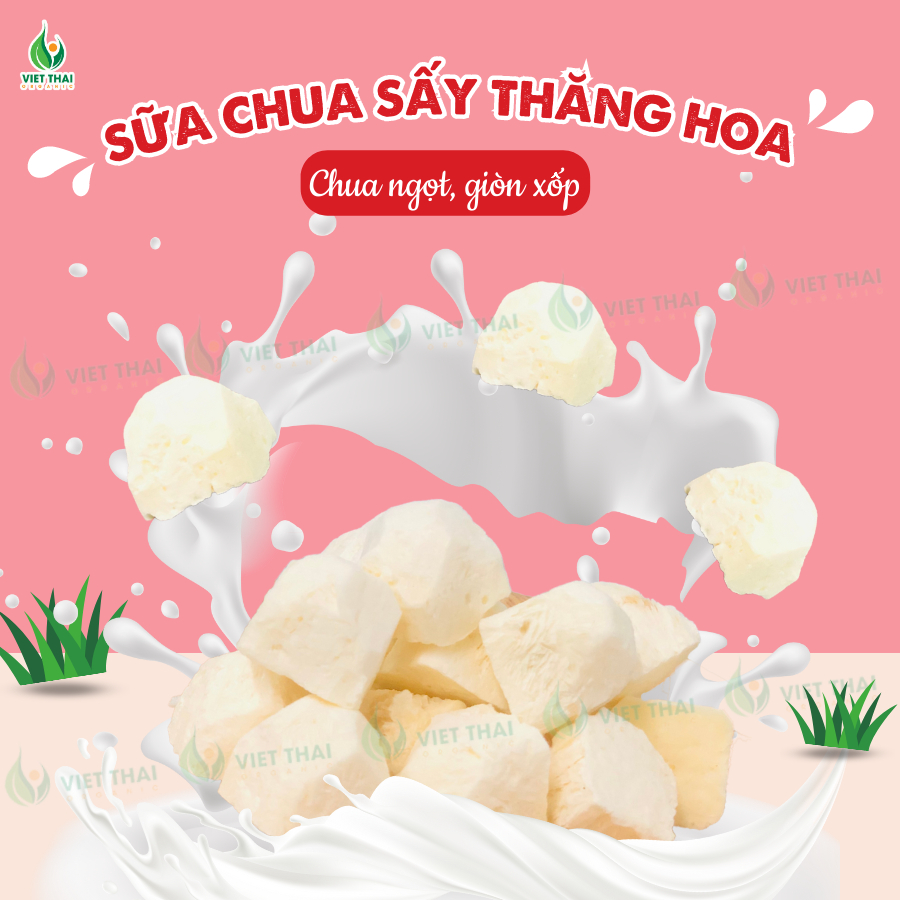 [MỚI] Sữa Chua Sấy Thăng Hoa Dùng Ăn Kèm Với Ngũ Cốc - Giòn, Chua Chua, Ngọt (Việt Thái Organic)