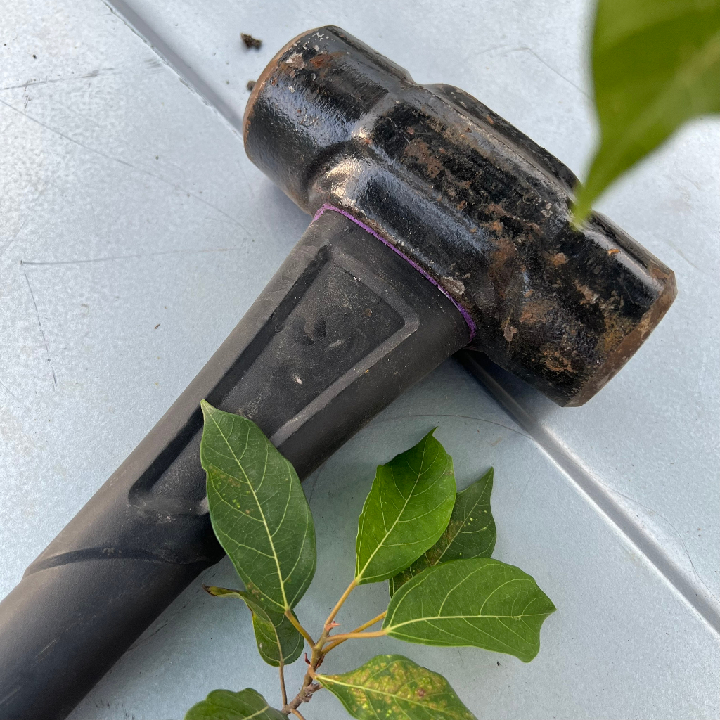 Búa Tạ Dewalt & Husky 5 kg