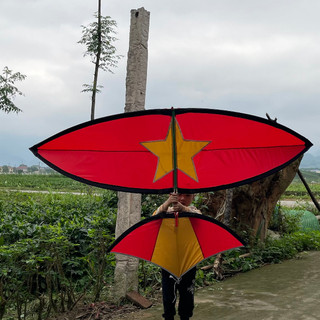 Diều sáo lắp ghép cờ đỏ sao vàng giá rẻ nhất QK12