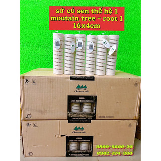 Sứ củ sen thế hệ 1 - mountain tree root 1 - sứ lọc cao cấp 16cmx4cm